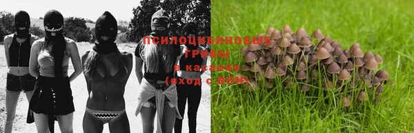 кокс Алзамай