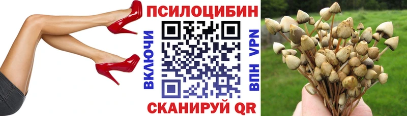 Галлюциногенные грибы Psilocybine cubensis  KRAKEN сайт  Красково  купить наркотик 